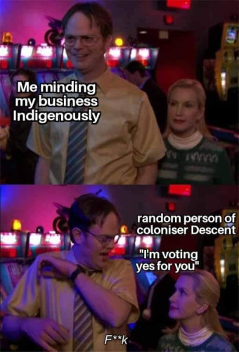 A meme format from The Office. The first frame shows Dwight standing on his own enjoying something and the second frame shows Angela has walked up behind him, she's smiling at him and he's been startled by her appearing.

The text on the first frame (over Dwight):
Me minding my business Indigenously

The text on the second frame (over Angela):
random person of coloniser decent "I'm voting yes for you"