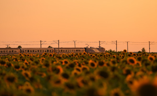 Sunset photo with a train part of Astra Trans Carpatic company travelling from Bucharest to Constanta, in Romania. In the foreground, there is a sunflower field.

© Adobe Stock - Photographer: Dragoș Asaftei