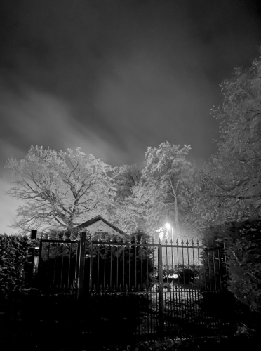 A gate and a small building are in the foreground of trees with frozen branches
