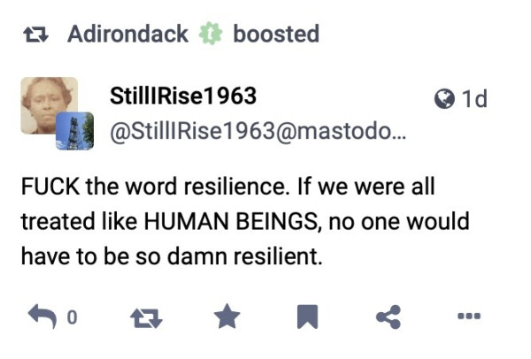 A post from another user pointing out the obvious - that if we were treated as human beings - we would not have to be so resilient.  (The language is much saltier than that!)