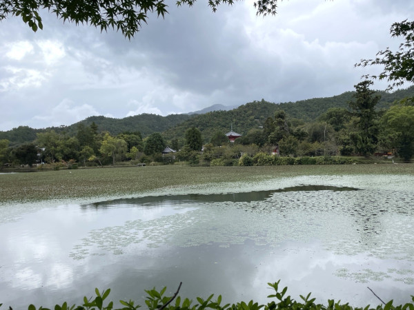 Daikaku Temple from across Osawa Pond in the Saga-Arashiyama area of Kyoto.