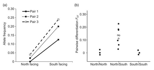 Fig. 4. Differences in allele frequencies and genetic differentiation between stand pairs of Pinus pinaster with contrasting aspects. (a) Plot of locus AL751008_691 showing consistent differences in allele frequency between south- and north-facing slopes for all three stand pairs. (b) Pairwise FST between south- and north-facing slopes within stand pairs are plotted in grey.