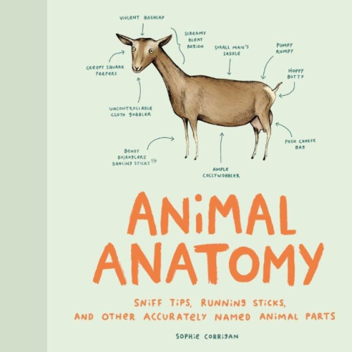 Each critter featured in this fun book is tagged with totally fictitious yet comically accurate anatomical labels, from a tree frog's "clingy jazz hands" and a raccoon's "sneaky bandito mask" to a velociraptor's "disembowly prowlies" and many more. Rife with animal puns, eye-catching bonus art, interesting animal facts, and laugh-out-loud labels that beg to be shared, Animal Anatomy will bring smiles to animal lovers of all ages.