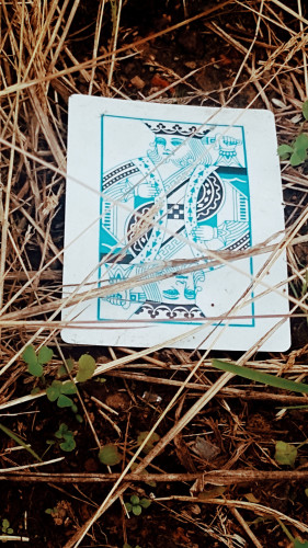 A king card with no suit lying on dry grass