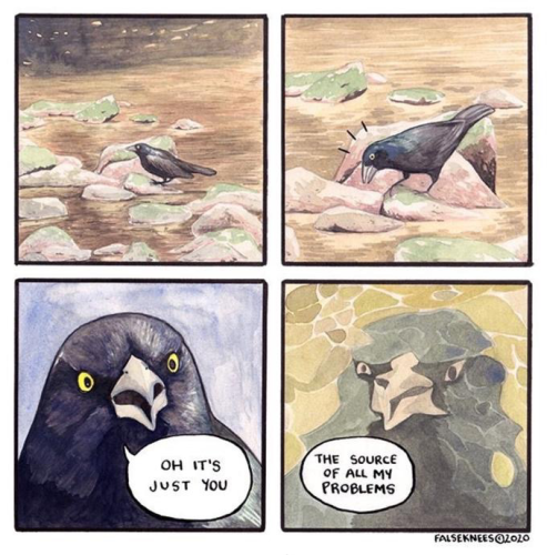 Cartoon in four panels raven sees own reflection in stream and says “oh it’s just you, the source of all my problems”