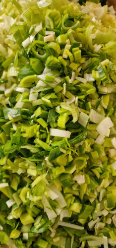 Lots and lots of chopped leeks, ready for the freezer.