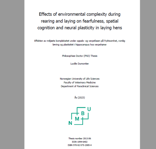 Front page of a PhD thesis, with the title "Effects of environmental complexity during rearing and laying on fearfulness, spatial cognition and neural plasticity in laying hens" by Lucille Dumontier, Norwegian University of Life Sciences, Faculty of Veterinary Medicine, As, 2023