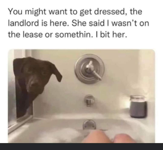 A picture of someone in a bath with a dog showing its head and the text:
You might want to get dressed, the landlord is here. She said | wasn’t on the lease or somethin. | bit her.