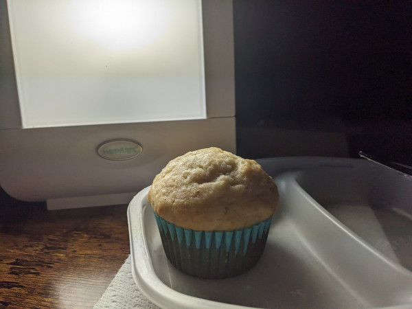 A single muffin in blue paper sitting in a repurposed lean cuisine tray in front of my happy lamp 