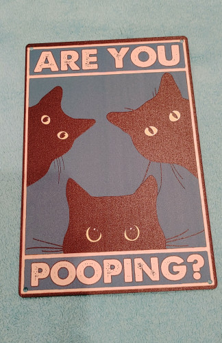 A sign with the heads of three cartoon  black cats with yellow eyes. Their irises are in different states of openness with one being slits to the third being full round. The background is torqouise. The caption says "Are You Pooping?"  