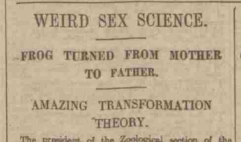 Headline 'Weird Sex Science: Frog Turned From Mother to Father: Amazing Transformation Theory,' from the Nottingham Evening Post, 9 September 1921.