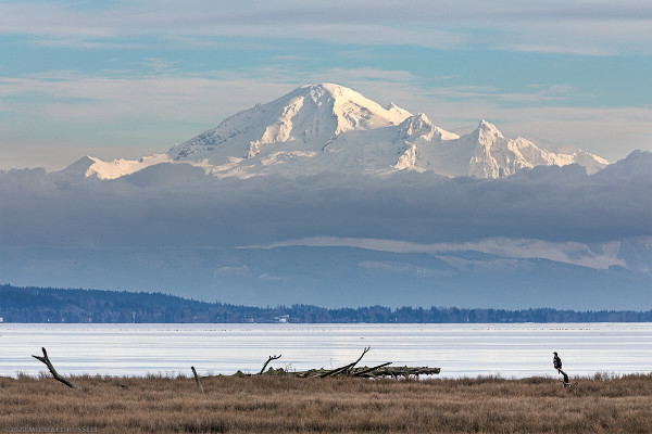 Mount Baker (Kulshan) in Washington State looms over Boundary Bay in British Columbia, Canada.