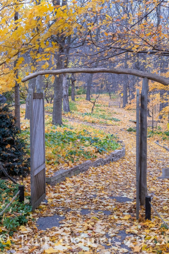 Wooden arched gate in fall