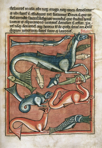 Medieval manuscript image showing a creature with the head, flowing mane and forelegs of a horse, and with fins and a tail, swimming with fish and other exotic sea creatures.