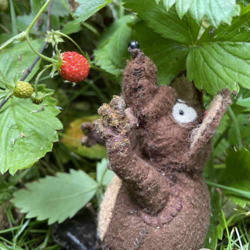 Photo of Minimus the Latin mouse stretching his little arms to reach a ripe strawberry.