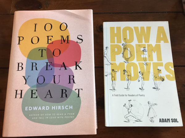 Picture of two book covers: 1) 100 Poems to Break Your Heart by Edward Hirsch 2) How a Poem Moves by Adam Sol