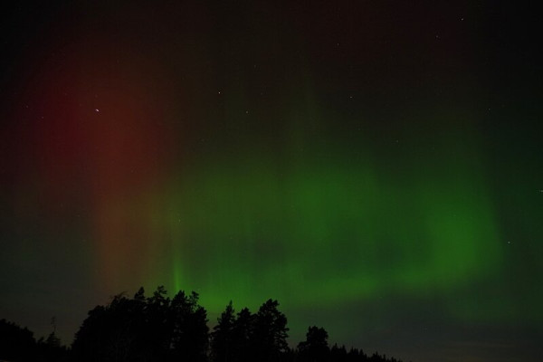 An image of the northern light (aurora borealis) in the sky. There is a red broad pillar to the left above the tree tops and a green dancing corcle with pillars thetwo thirds of the image from the right. Some star are also visible through both the red and the green auroras.