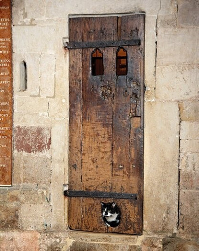 This is a photo of the cat hole in Exeter Cathedral.

It shows a stone wall with a narrow wooden door. The door is very old-looking, with the wood being heavy and uneven.

it has two iron hinges to hold the wooden planks together & two little windows to look at human height.

In the very bottom, in the middle, is a hole in the wood just large enough for a domestic cat.

The photo shows a black-and-white cat peeking through the cat hole.