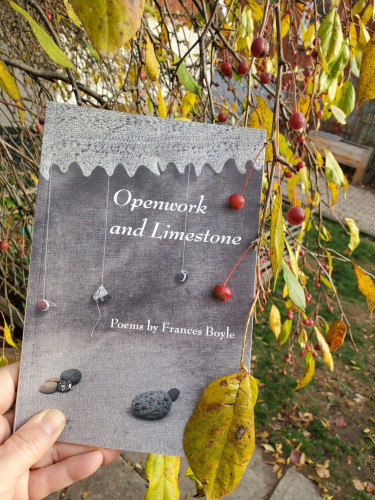 Poetry collection Openwork and Limestone by Frances Boyle (Frontenac House), held up in front of branches of a sandcherry tree in fall, with straggly yellowish leaves and bright red cherries