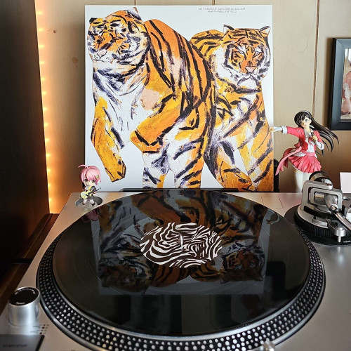 A black vinyl record sits on a turntable. Behind the turntable, a vinyl album outer sleeve is displayed. The front cover shows a painting of 2 tigers.