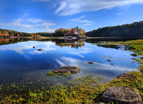 A deep blue October sky with hazy thin clouds, mirrored on the calm surface of a large lake below. A few coarse surfaced gray boulders and dozens of small leafy green aquatic plants break the still surface, mostly near the shores in front of us and to our right. The forest surrounding the lake has barely started turning autumn colors with the exception of a stand of maples on a small island straight ahead, and several more maple clusters along the far shoreline to our left. These are decked out in bright oranges and golds.