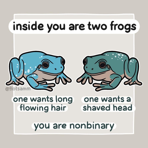 Cute painted art with black outlines. Two frogs, one blue, one green. They both have beige underbellies, they're facing each other. 

At the top the text says "Inside you are two frogs". 

At the bottom the text says "one wants long flowing hair" and "one wants a shaved head". 

"YOU ARE NON BINARY". 
