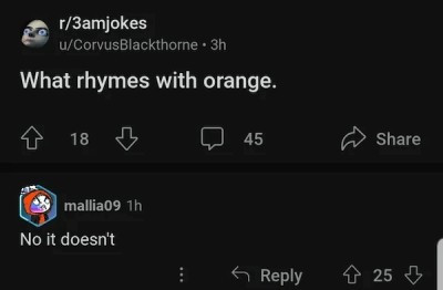 A screenshot of a forum chat saying what rhymes with Orange. And someone answering "no it doesn't."