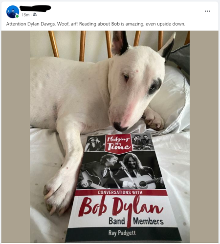 A very good boy with a very good book