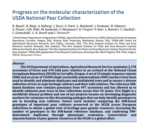 Front page of linked journal article. "Progress on the molecular characterization of the USDA National Pear Collection  - Abstract - 
The US Department of Agriculture, Agricultural Research Service maintains 2,378 accessions of Pyrus and 478 wild pear relatives in an orchard at the National Clonal
Germplasm Repository (NCGR) in Corvallis, Oregon. A set of 10 simple sequence repeats (SSR) and an array of 70,000 single nucleotide polymorphism (SNP) markers have been used to identify and eliminate duplicates and mislabeled trees and to ensure a diverse collection of true-to-type heritage cultivars and their wild relatives. The reference SSRbased database now contains genotypes from 497 accessions and has allowed us to identify unknown pear trees in four collections across four US states. Fire blight is a worldwide disease problem and one of our projects focuses on developing diagnostic
markers for resistance to this devastating pathogen that can help identify genotypes to use in breeding new cultivars. Future work includes comparing the SSR-based
genotypes of important pear cultivars preserved at the NCGR across European collections to obtain a global view of heritage pear genetic resources, increasing the
number of genotypes in the SSR-based reference database, and confirming SNPdetermined duplicates through phenotypic evaluation. Conservation and characterization of pear genetic resources at the NCGR is a global effort."