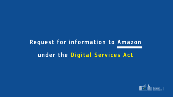 A basic visual with text in the centre: “Request for information to Amazon under the Digital Services Act.” 