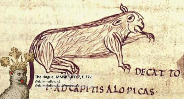 Picture from a medieval manuscript: A very chill looking licking its paw