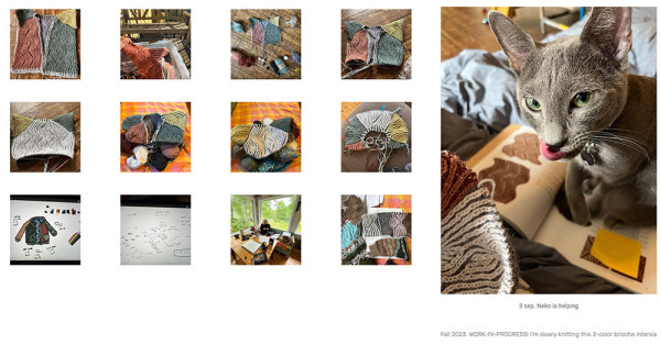 screenshot of webpage featuring knitted cardigan work in progress and a cute cat