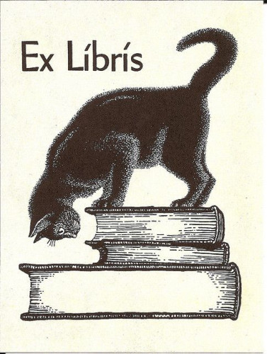 Bookplate. Illustration of a black cat stood on a small pile of books looking down 