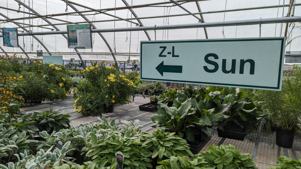 A section in one of the perennial houses with a sign indicating the land in that row are "Z-L Sun".  They are alphabetical by latin name.