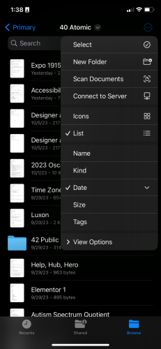 A screenshot of the iOS Files app, showing the drop down view options.