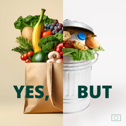 A ‘split screen’ visual, on the left is a grocery bag full of fresh produce with the title ‘YES. On the right is a bin full of discarded food with the title ‘BUT’. 