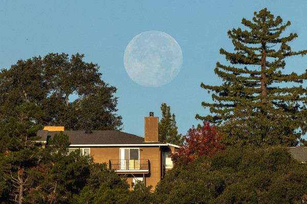 a telephoto shot of a nearly full moon in a pale blue sky, setting and framed above a house and between two trees