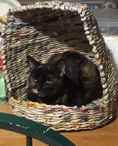 A dark tortoiseshell cat snuggled into a round bed with a lopsided dome, made out of thin tubes of rolled newsprint, woven in the manner of rattan.