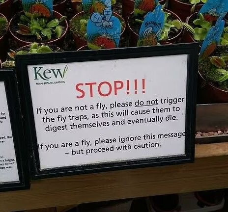 Sign attached to a display of Venus Fly Traps at Kew Royal Botanical Gardens reads:
STOP!!!
If you are not a fly, please *do not* trigger the fly traps, as this will cause them to digest themselves and eventually die.
If you are a fly, please ignore this message - but proceed with caution.