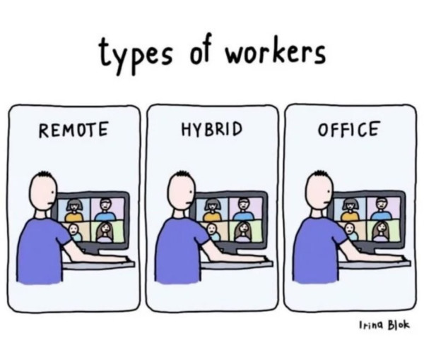 It is a cartoon of three different types of workers: remote, hybrid, and office. The image is titled "Types of Workers" and was created by Irina Blok. 

All three works are at sitting at a desk in their home, home office, or office and in-front of a computer screen and doing video conferring meetings.


The cartoon is humorous, but it also reflects the reality of the modern workplace. Many people now work remotely or in a hybrid arrangement, and the traditional office worker is becoming less common. 