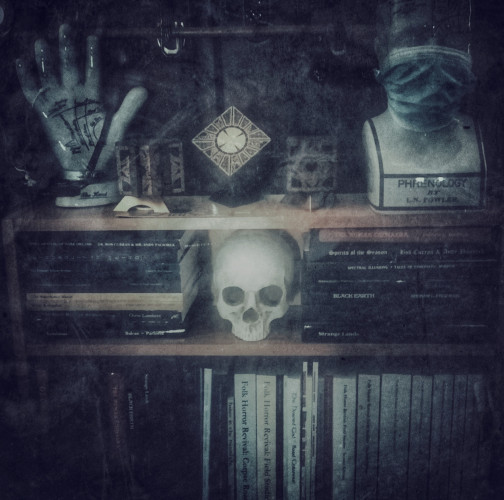 Bookcase adorned with skull, phrenology head (wearing surgical mask), palmistry hand and 3 Lemerchand Lament Configuration boxes. Shelves contain books created/co-created by Andy Paciorek