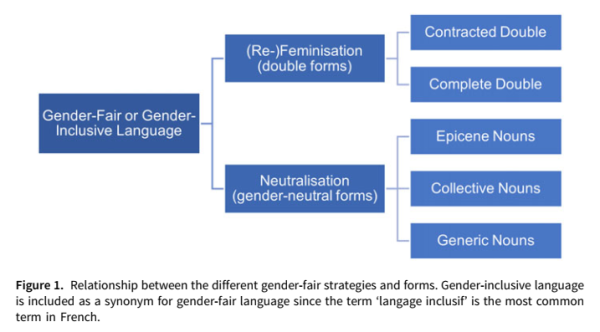 Figure from Tibblin et al 2022. Relationship between the different gender-fair strategies and forms.