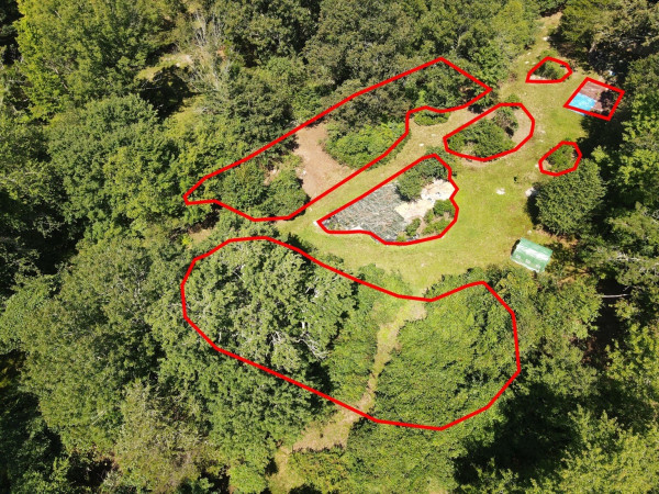 A birds eye photo taken with a drone of two of the acres I've been clearing. I've drawn (or outlined) final areas to clear and prep in red over the image.