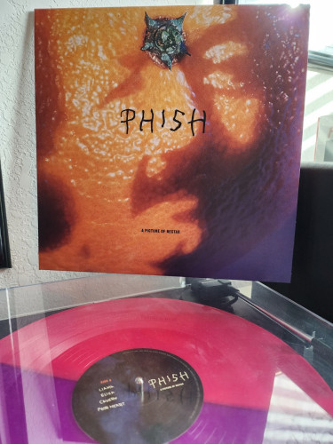 Phish - A Picture of Nectar album cover. The highlight of the face of a man with a mustache in orange.