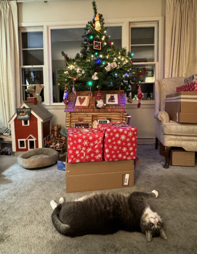 Photo: harry the pink-nosed, gray tuxedo tabby sprawls out in front of mom's Christmas tree turning to make sure I am watching. There are two cubical packages wrapped in red atop a brown unwrapped box. 