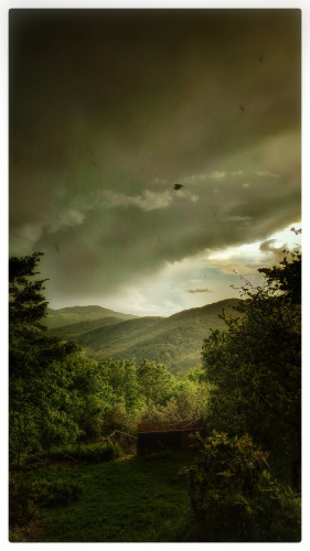 A dark threatening sky over a green wooded valley, a bird is being blown across the sky as the storm approaches. The centre is illuminated by a low sun off to the right of the frame.