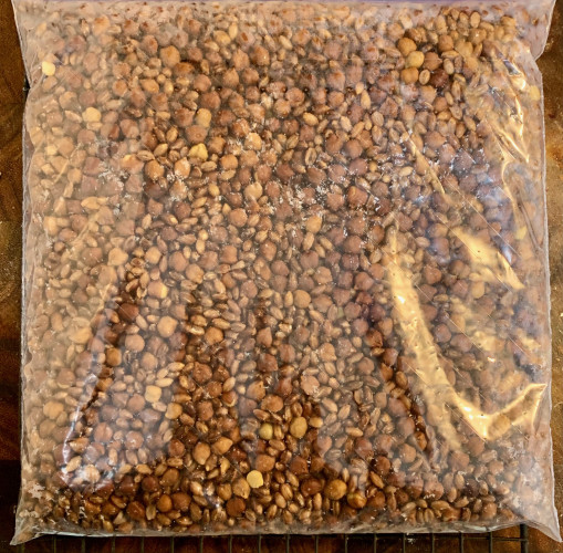 A clear plastic bag containing dark brown cooked seeds — small chickpeas and barley.