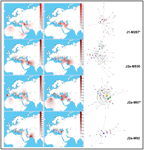 Frequency and variance distributions of haplogroup J lineages observed in Iran together with the relative networks of the associated STR haplotypes.