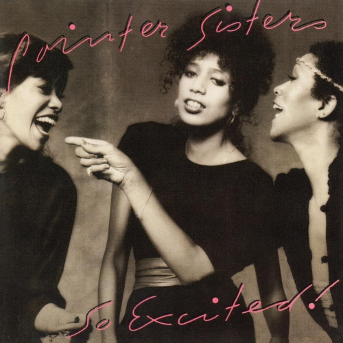 45 single cover of "I'm so Excited" by the Pointer Sisters.