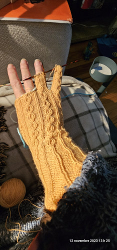 right glove, work in progress. the little finger is fully knitted, the ring finger is half done, the other fingers are not knitted yet. yarn is burnt orange. there are cables on the wrist that continue onto each finger.